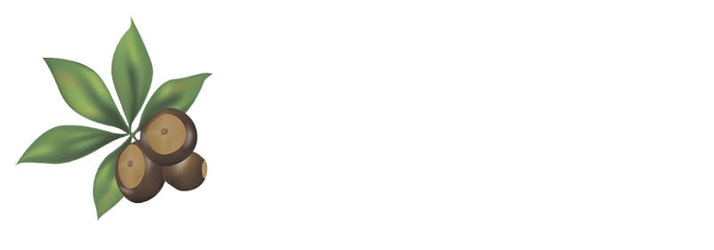 buckeye glass and associates logo